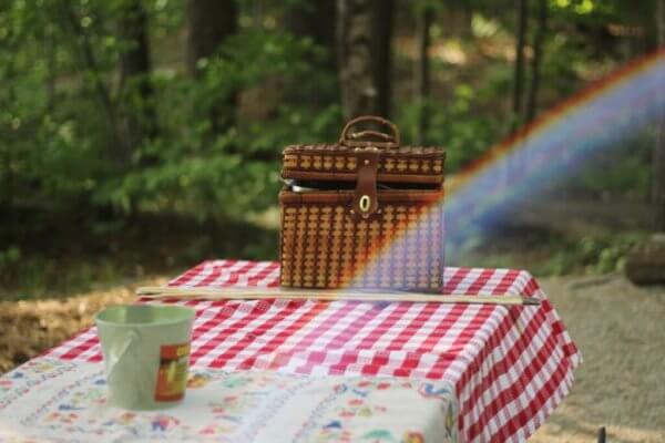 Valentine's Day Picnic Basket