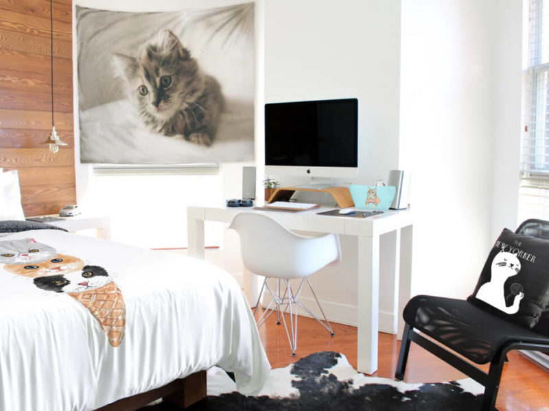 cat lovers collection dorm room
