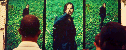 The Hunger Games gif