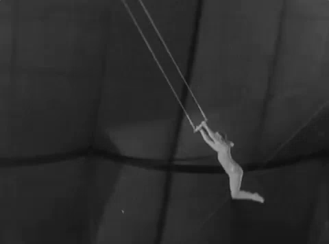 trapeze at the circus