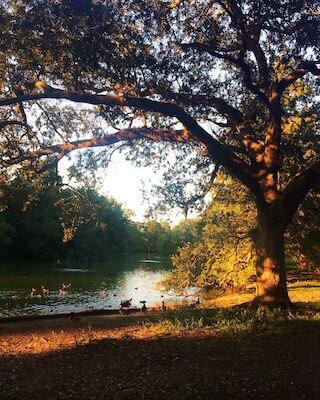 a park in New Orleans