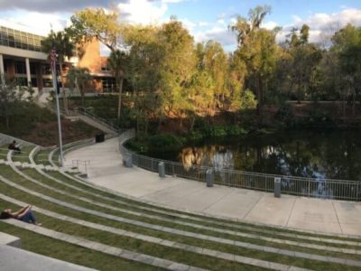 Grassy Steps at Reitz Union at UF