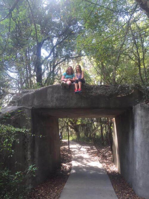 Paynes Prairie's La Chua Trail