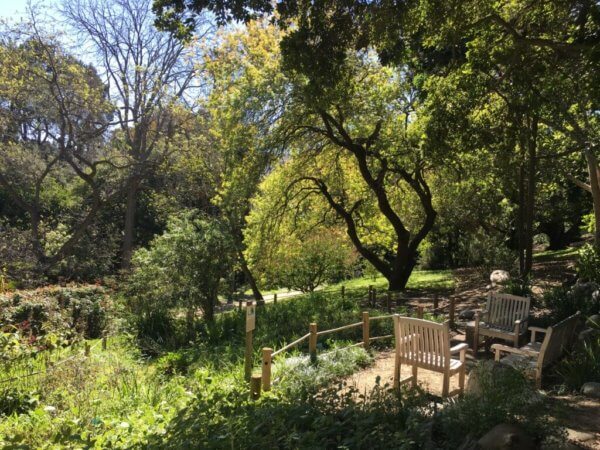 UCLA Botanical Garden