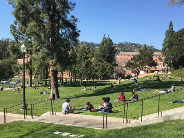 Hill by Janss Steps UCLA