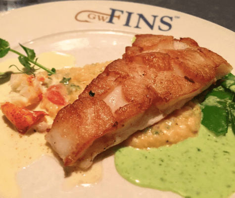 GWFins is delicious