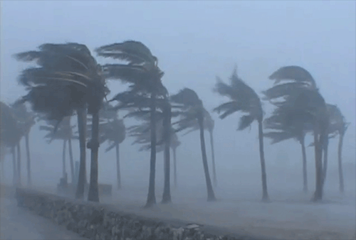 out-of-state student hurricane season florida