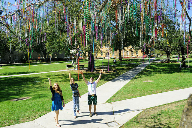 tulane bead tree a quad