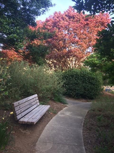 gardens at american university