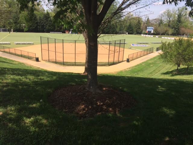 athletic fields near american university