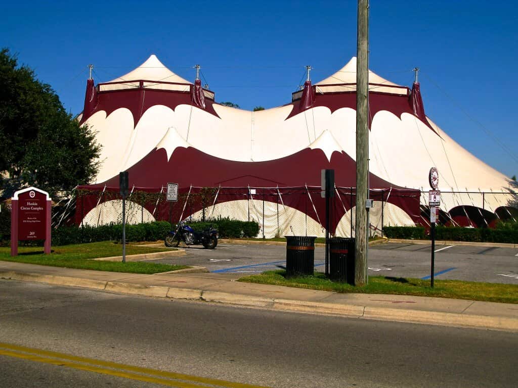 uf fsu circus