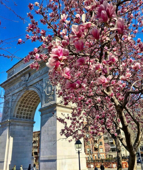 how to make friends in nyc