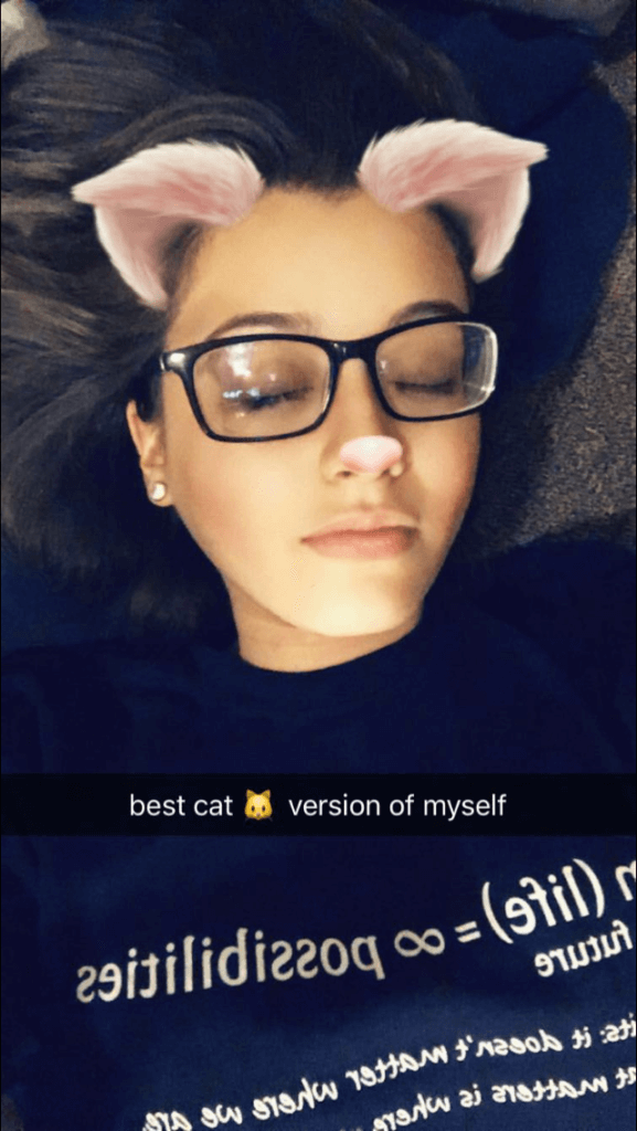 cat filter snapchat filters
