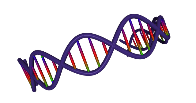 DNA 