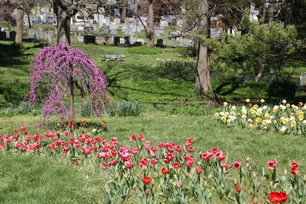 Lexington Cemetery