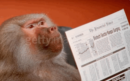 baboon reading newspaper bored at work