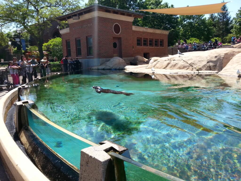 lincoln park zoo chicago