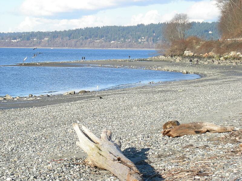 golden gardens seattle