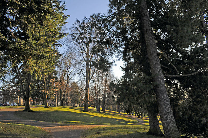 wright park tacoma seattle 