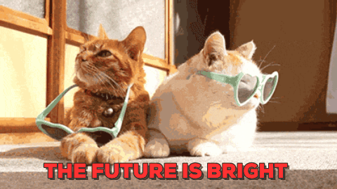 15 Cute Animal Gifs to Brighten Up Your Day ⋆ College Magazine