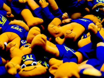 Cal Mascot Stuffed Animals