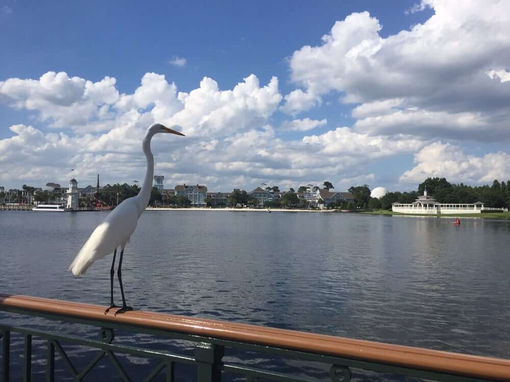 Disney's Boardwalk orlando