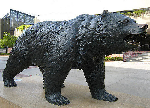 bruin bear ucla campus