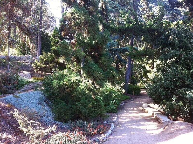 botanial garden UCLA campus