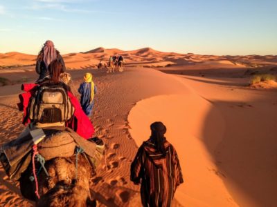 Riding camels in Sahara Desert