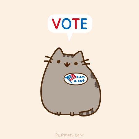vote