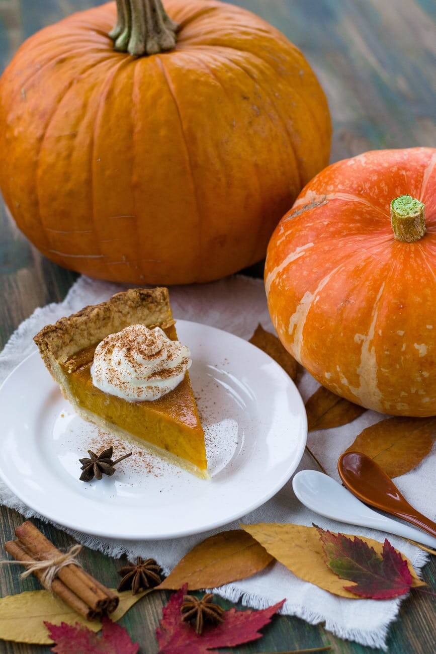 pumpking pie pudding