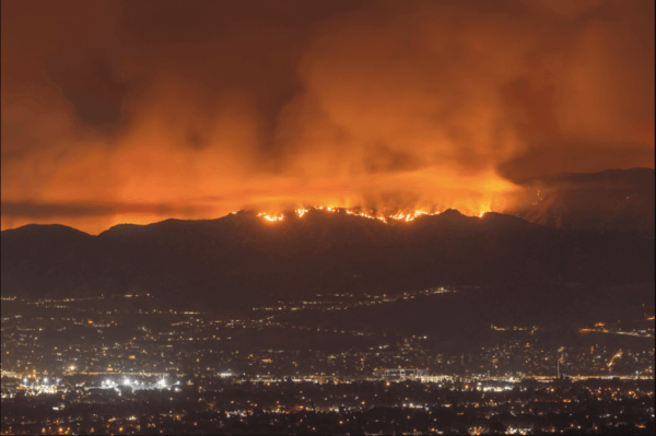 LA Forrest Fires