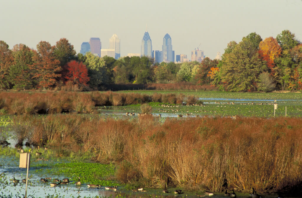 John Heinz Refuge things to do in philadelphia