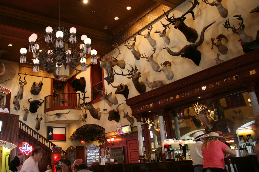 Buckhorn Saloon and Museum things to do in san antonio
