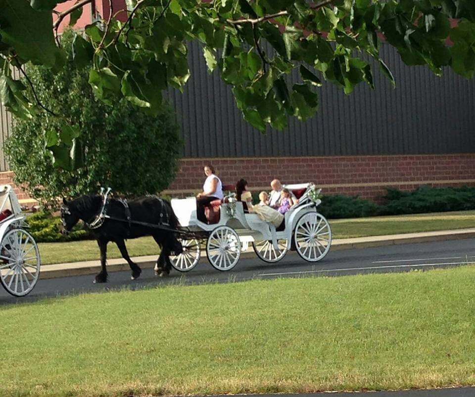 carriage things to do in fort wayne