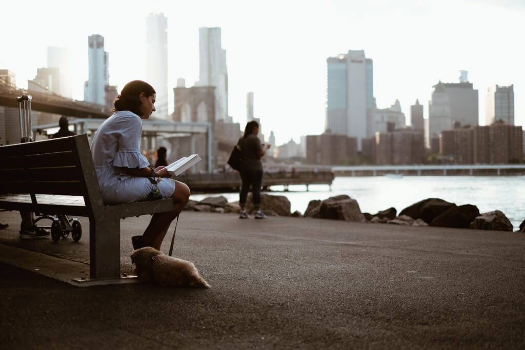 things to do in brooklyn bridge park