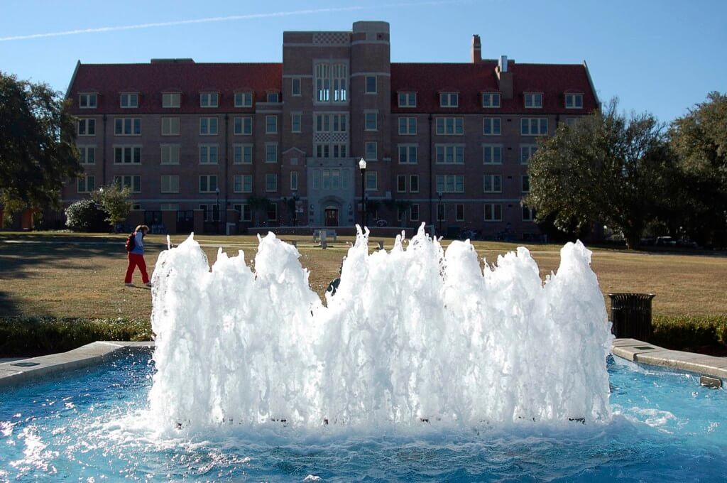 fountain study tips for fsu