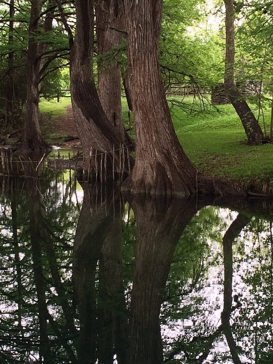 ucf campus cypress