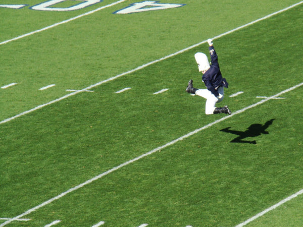 Picture of the drum major descending into his legendary split penn state football traditions