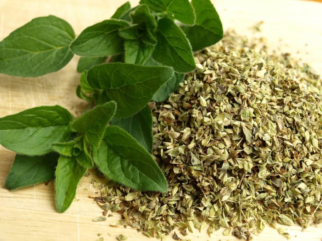 oregano 