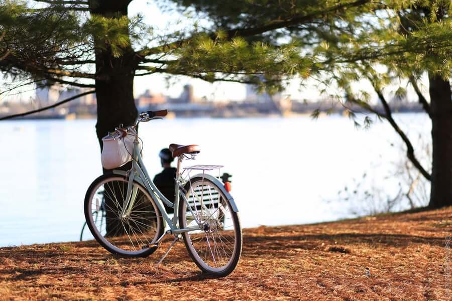 bike instead of Netflix 