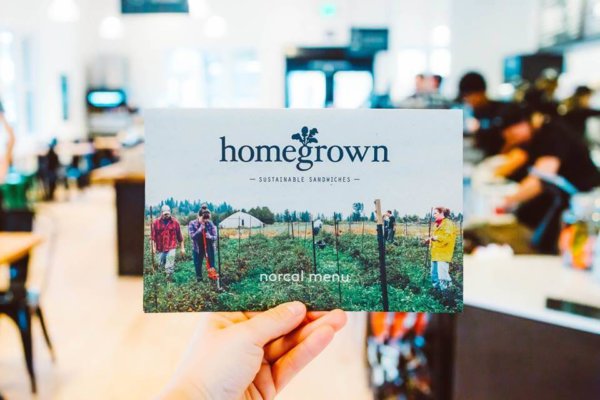 companies that give back homegrown