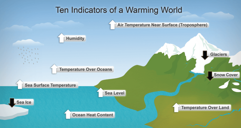 human impact on the environment through global warming