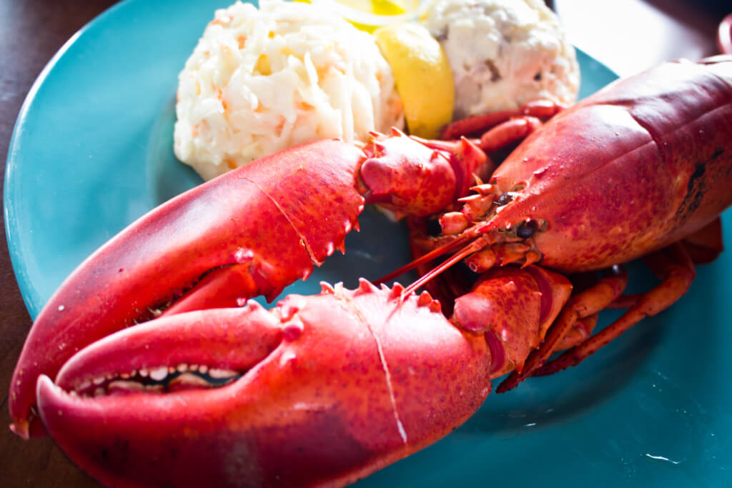 dates in orlando lobster