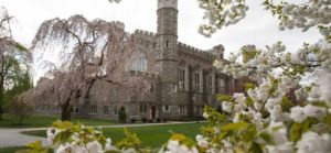 bryn mawr college