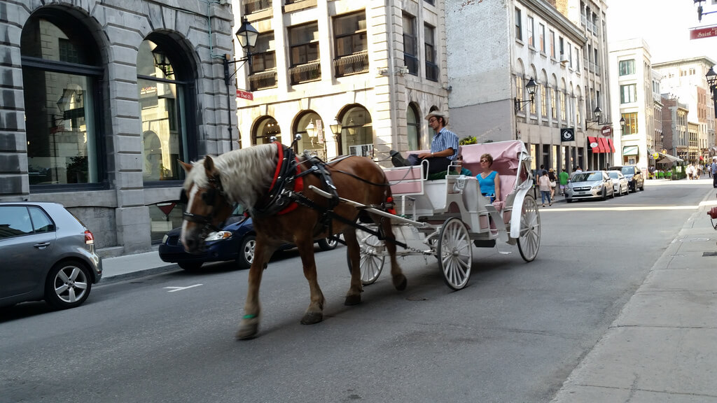 things to do in montreal carriage