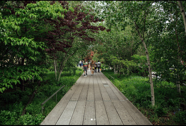 One of the many areas of the high line, full of green, lush trees and cobblestone walkways.