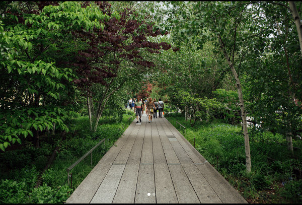 One of the many areas of the high line, full of green, lush trees and cobblestone walkways. 