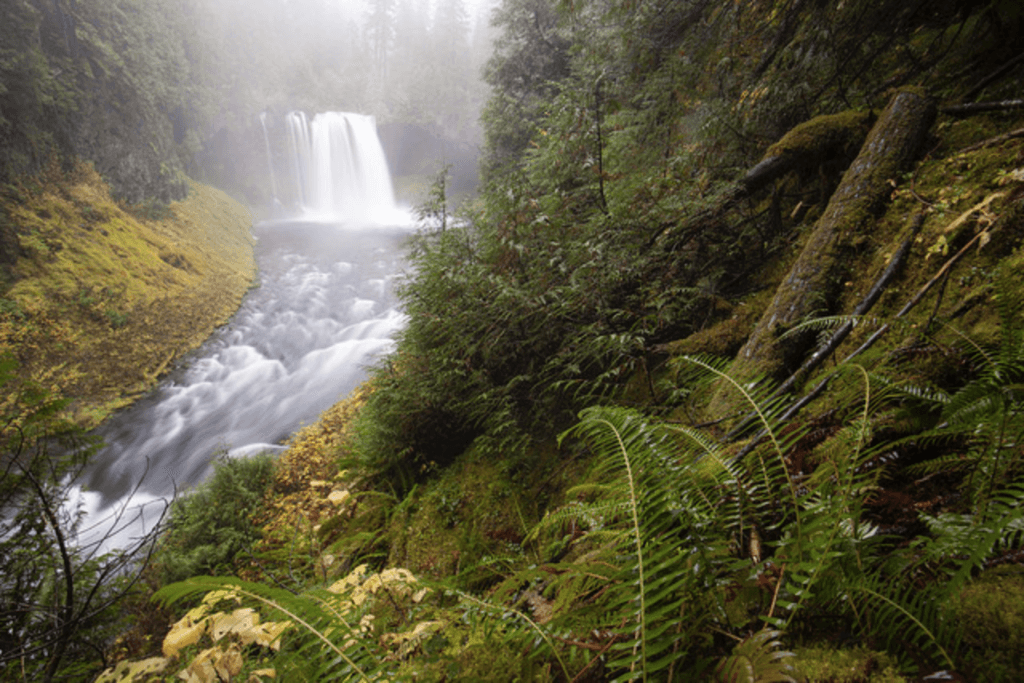 Waterfall at Tamolitch Falls