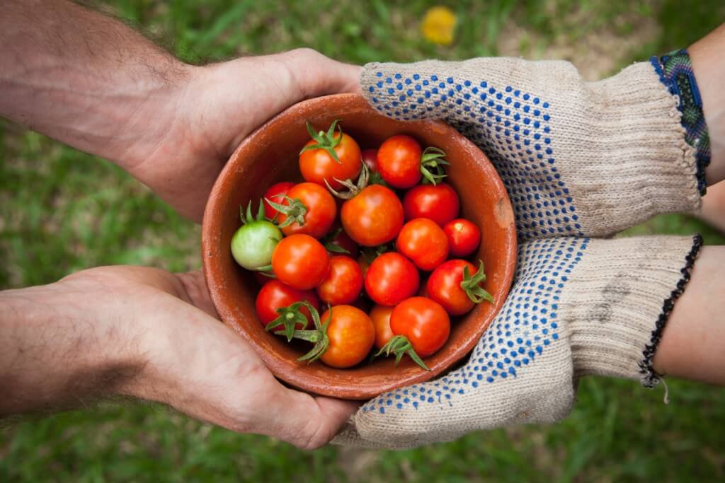 gardening